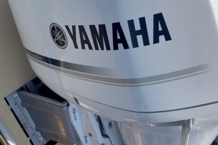 Yamaha F250DETX